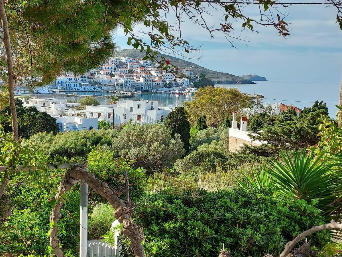 Villa Arni Andros - Βίλα Αρνη Batsi  Bagian luar foto