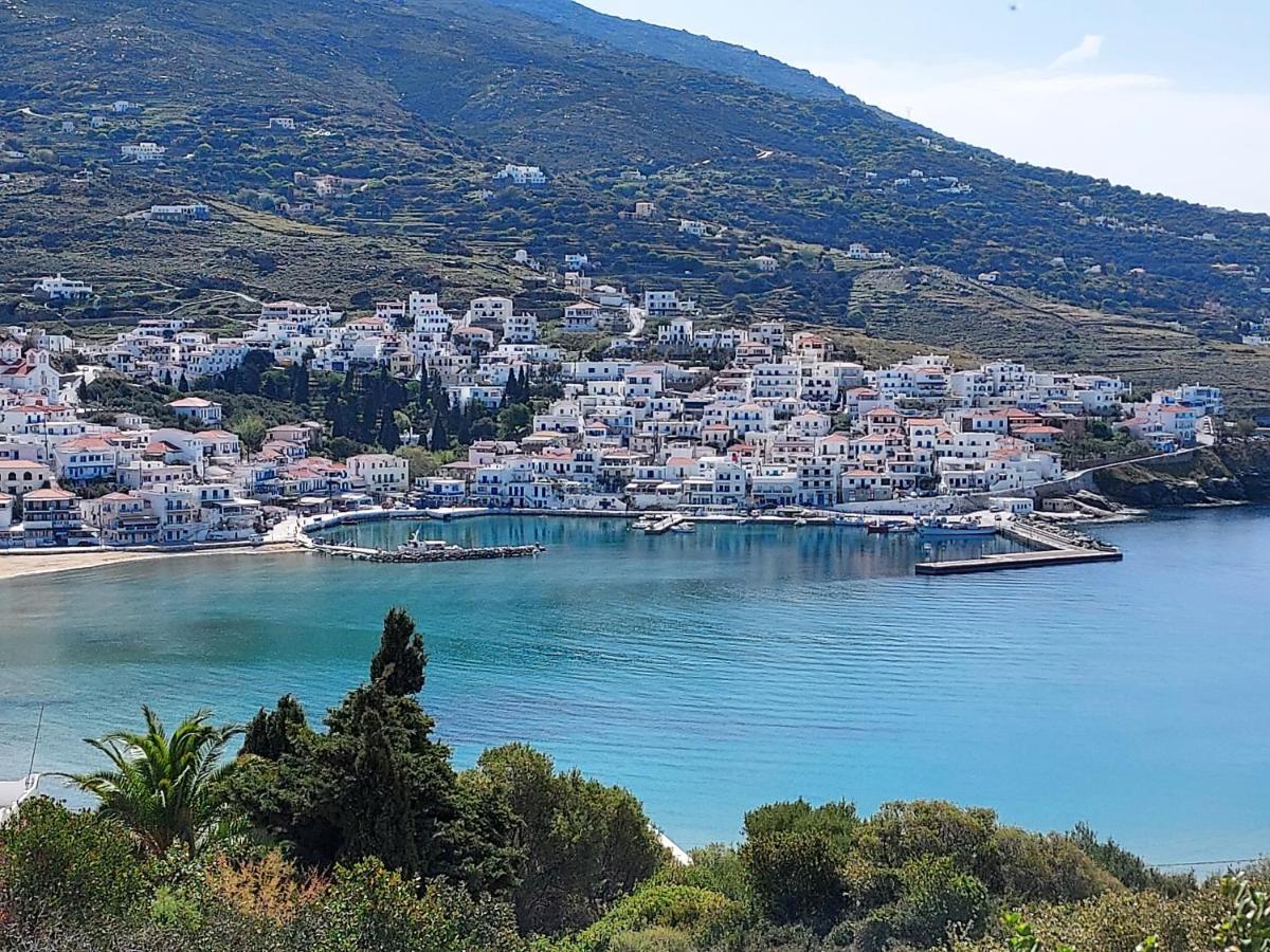 Villa Arni Andros - Βίλα Αρνη Batsi  Bagian luar foto
