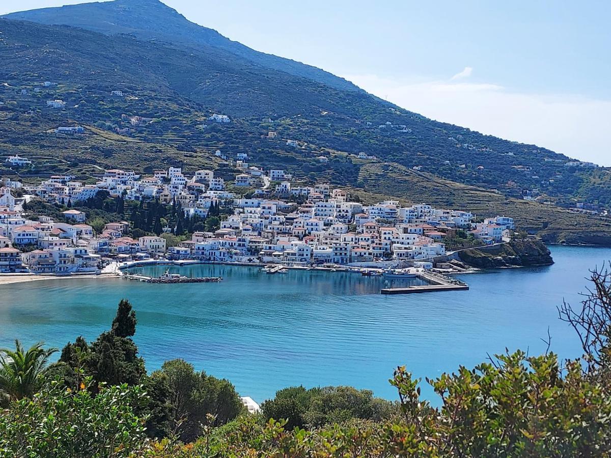 Villa Arni Andros - Βίλα Αρνη Batsi  Bagian luar foto