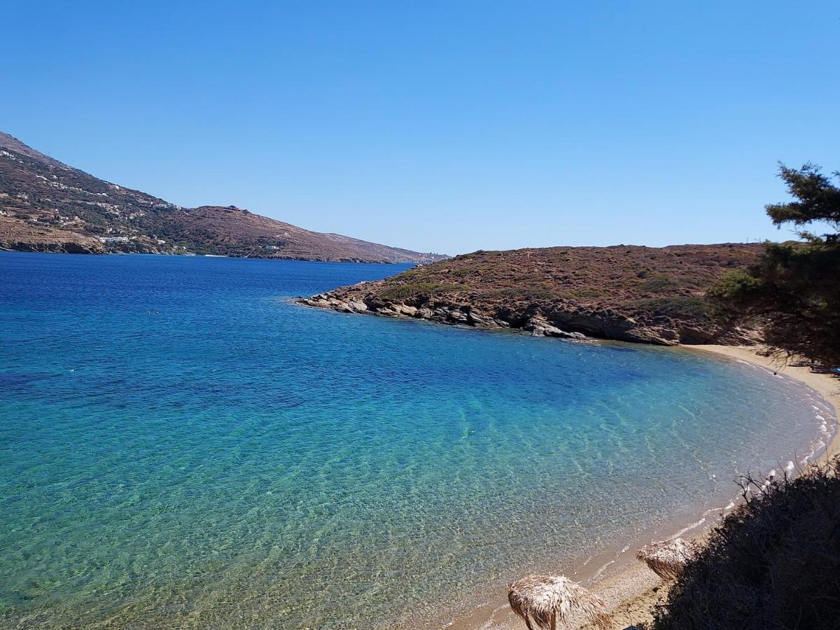 Villa Arni Andros - Βίλα Αρνη Batsi  Bagian luar foto