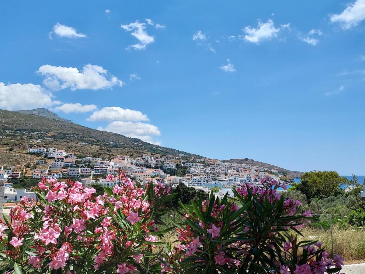 Villa Arni Andros - Βίλα Αρνη Batsi  Bagian luar foto