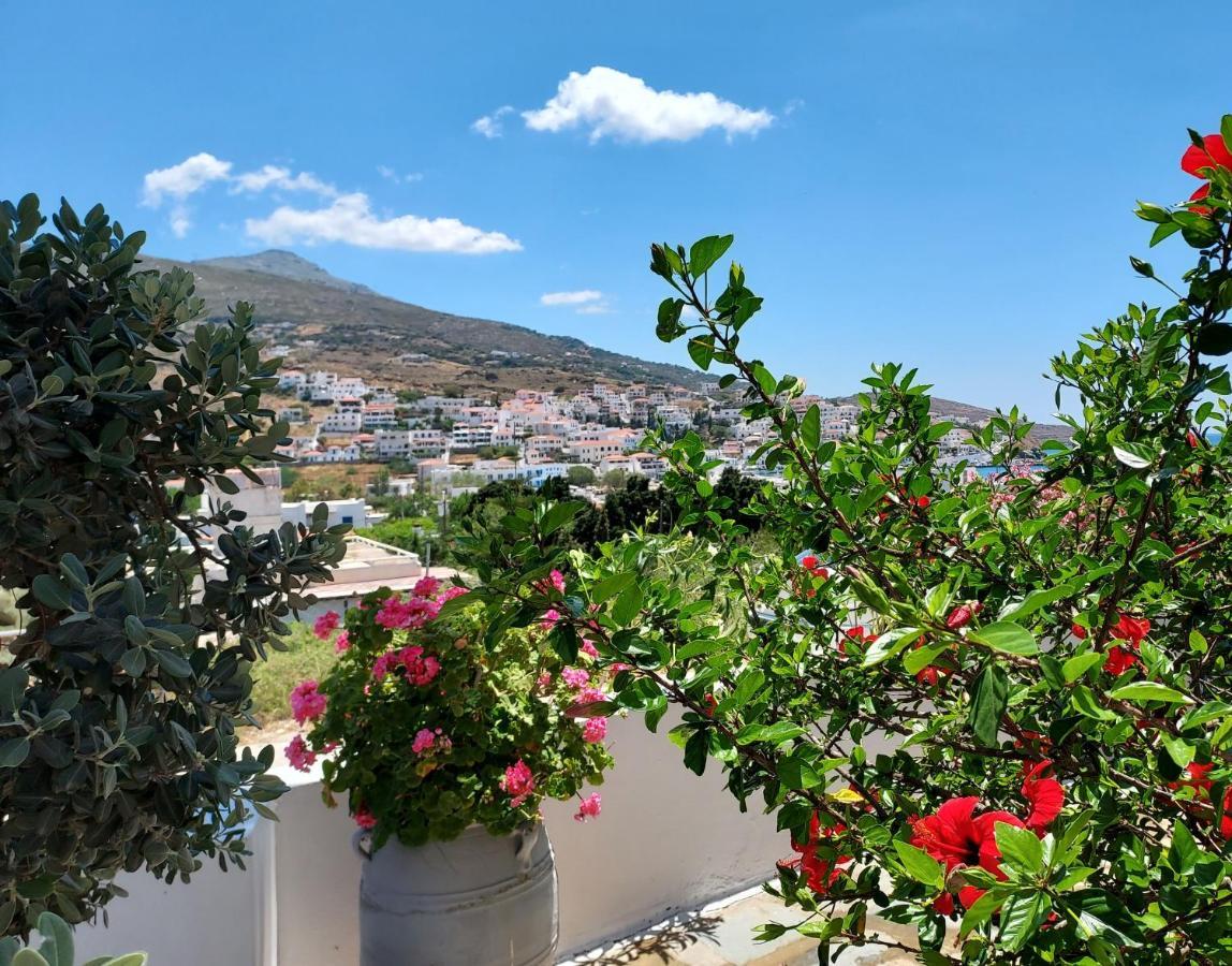 Villa Arni Andros - Βίλα Αρνη Batsi  Bagian luar foto