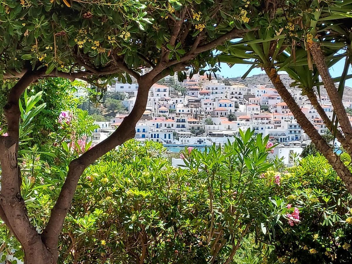Villa Arni Andros - Βίλα Αρνη Batsi  Bagian luar foto