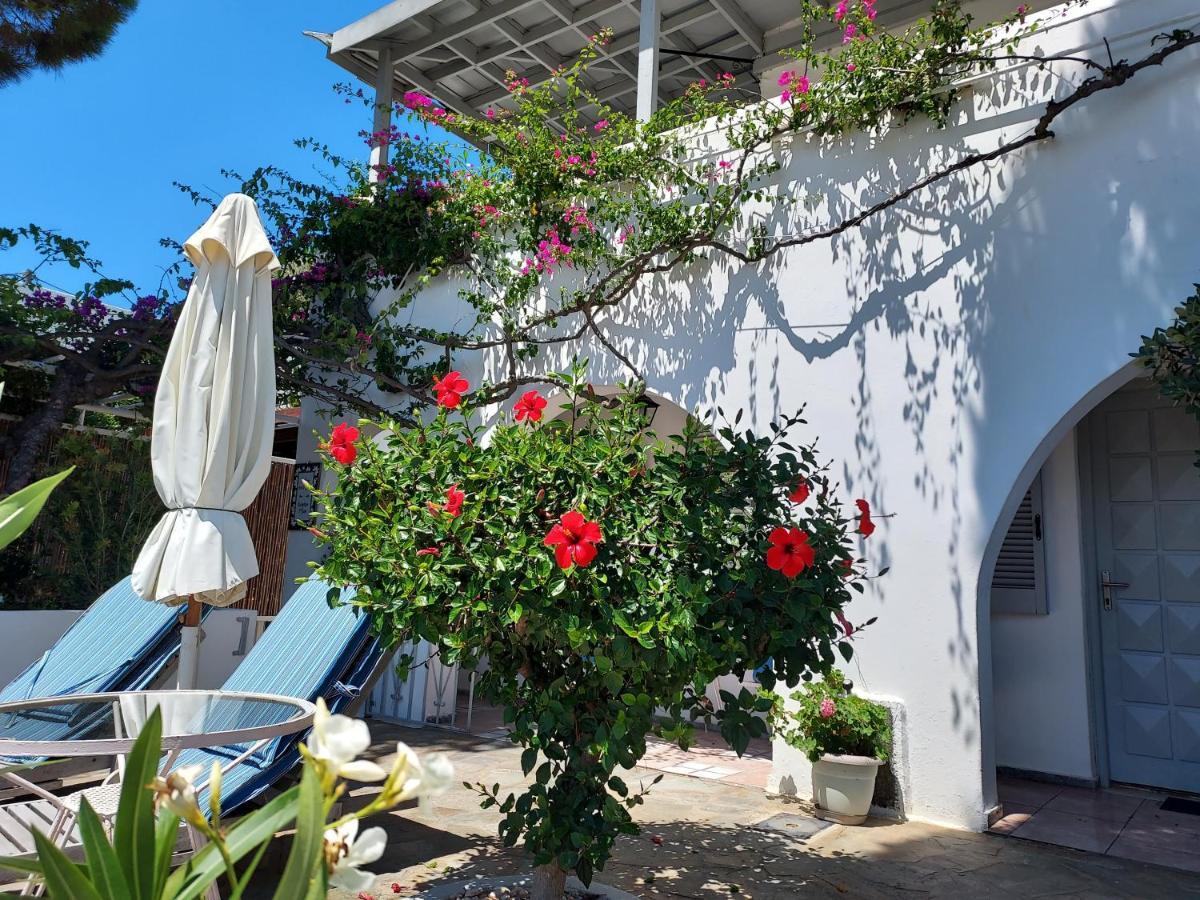 Villa Arni Andros - Βίλα Αρνη Batsi  Bagian luar foto