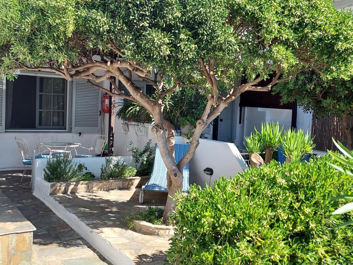 Villa Arni Andros - Βίλα Αρνη Batsi  Bagian luar foto