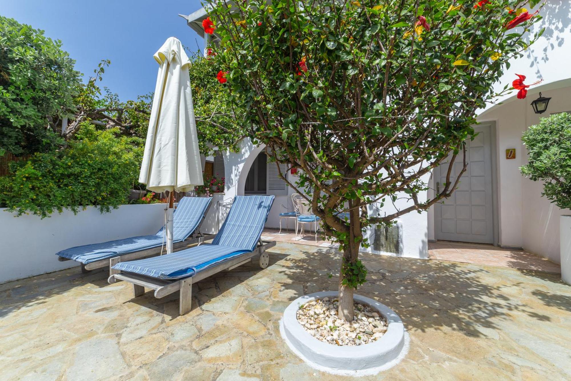 Villa Arni Andros - Βίλα Αρνη Batsi  Bagian luar foto