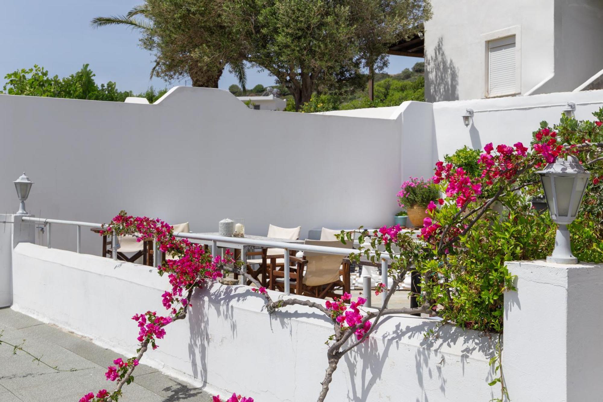 Villa Arni Andros - Βίλα Αρνη Batsi  Bagian luar foto