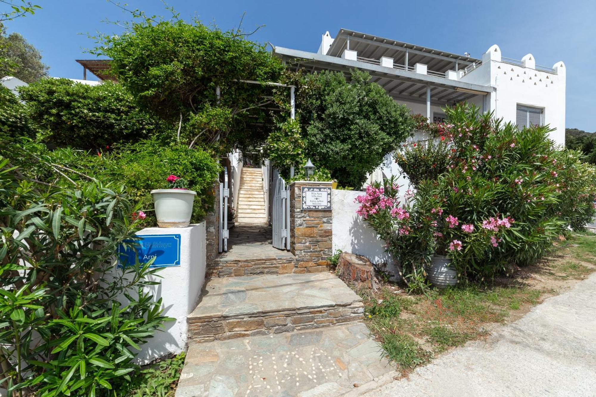 Villa Arni Andros - Βίλα Αρνη Batsi  Bagian luar foto